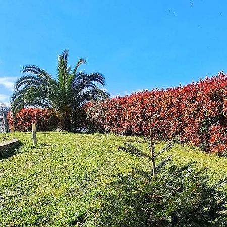 La Bella Addormentata Bed and Breakfast Chieti Exteriör bild